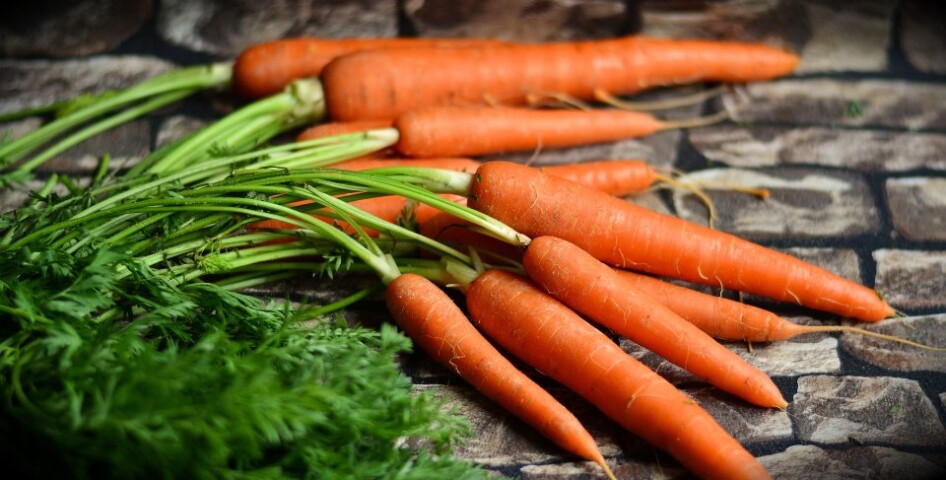 Carrots 2387394 1920.960x0